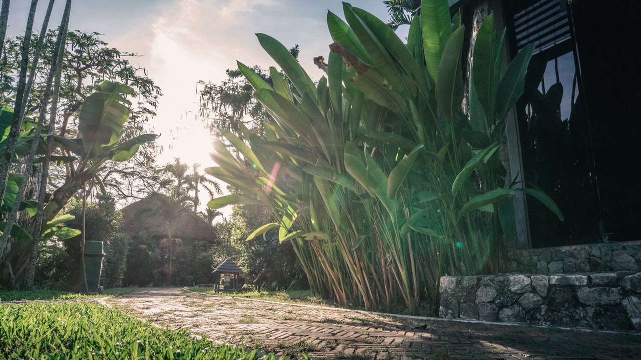 Photo of Outdoor in Rayong