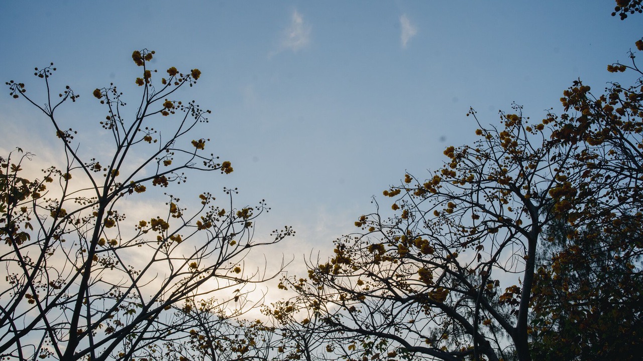 Photo of Outdoor in Rayong