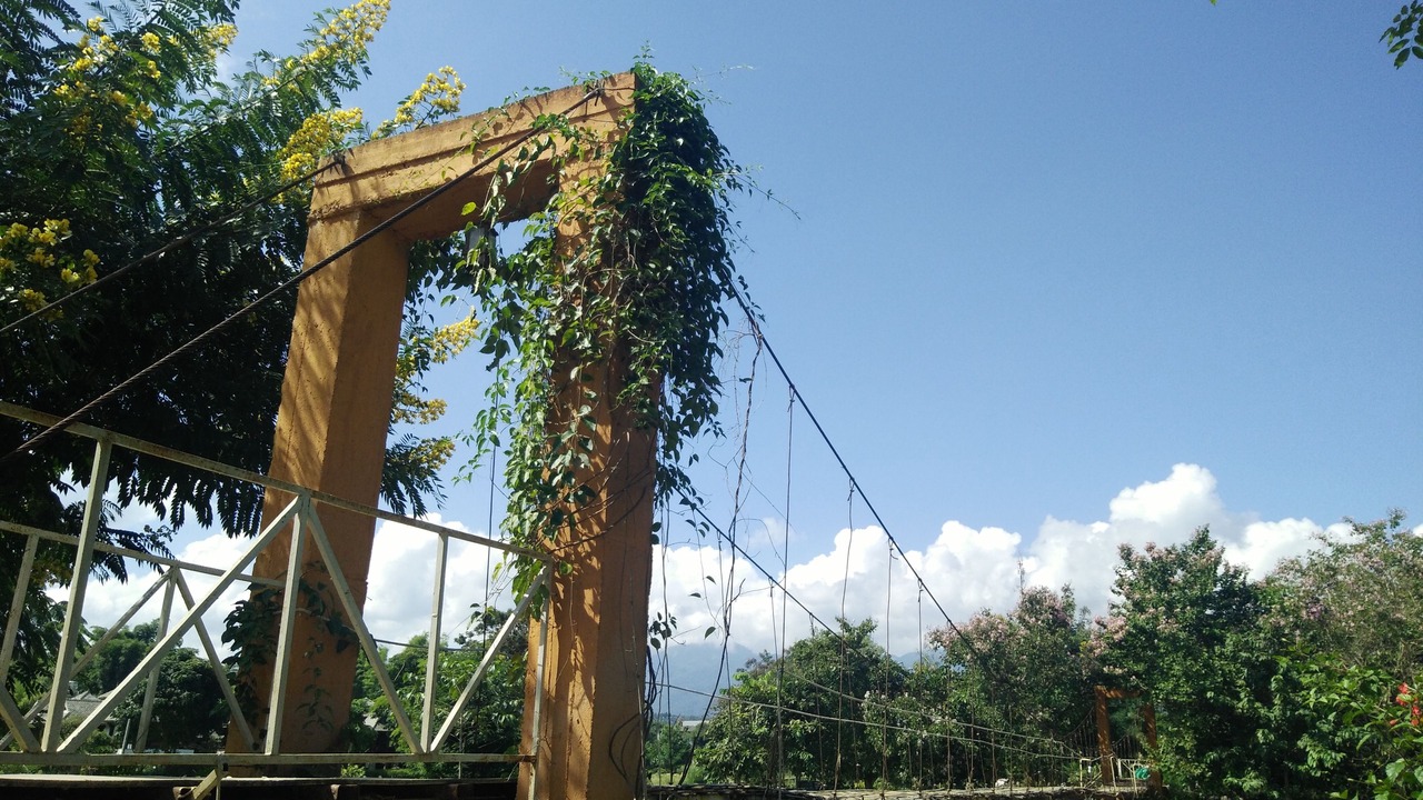 Photo of Others in Pai