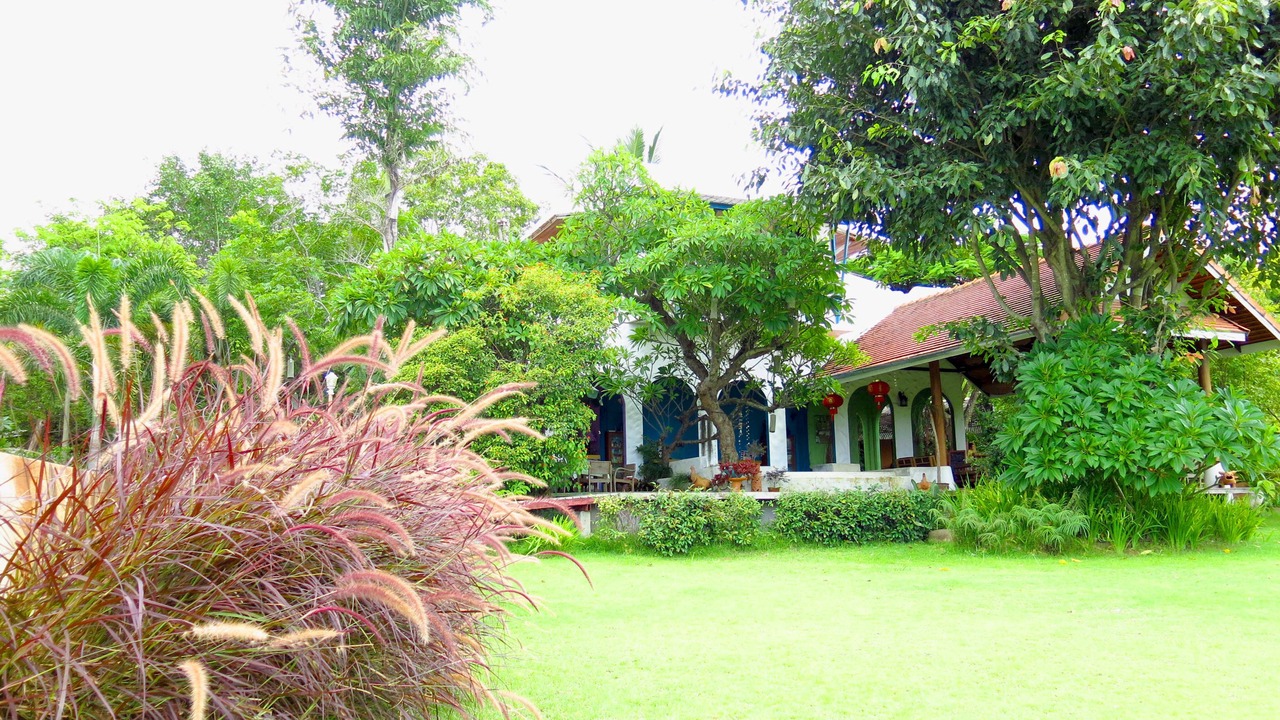 Photo of Others in Pai