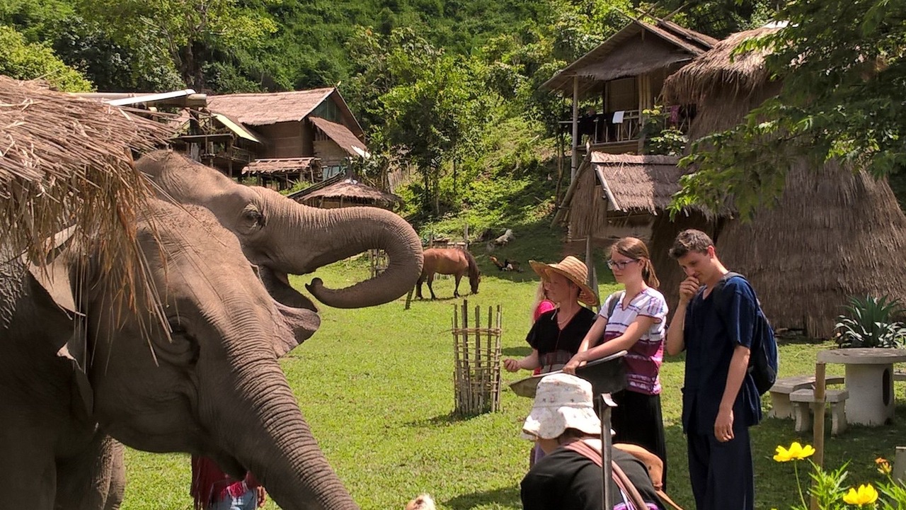 Photo of Others in Chiang Rai