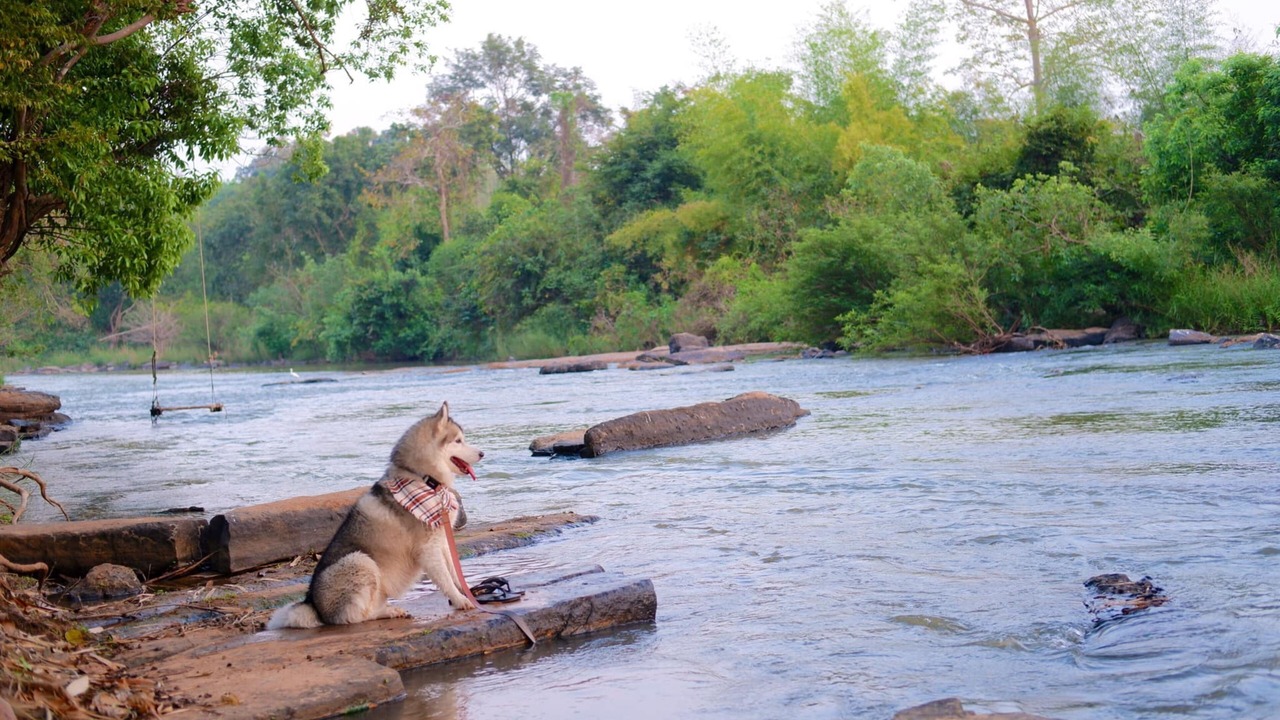 Photo of Outdoor in Wang Thong