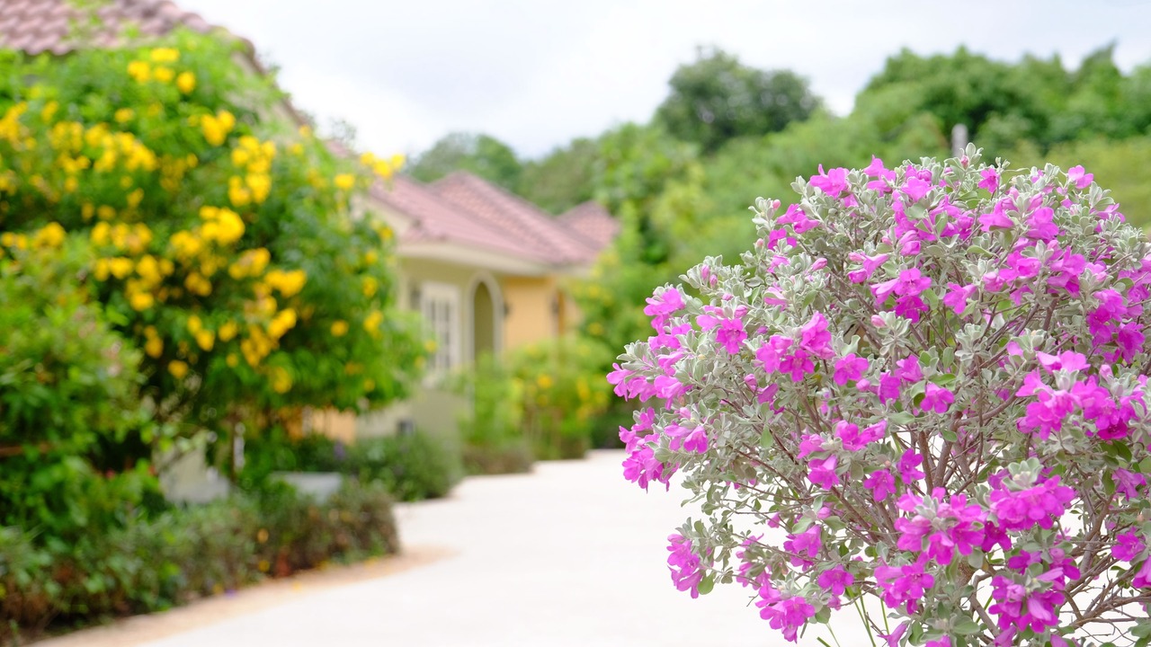 Photo of Outdoor in Nakhon Sawan