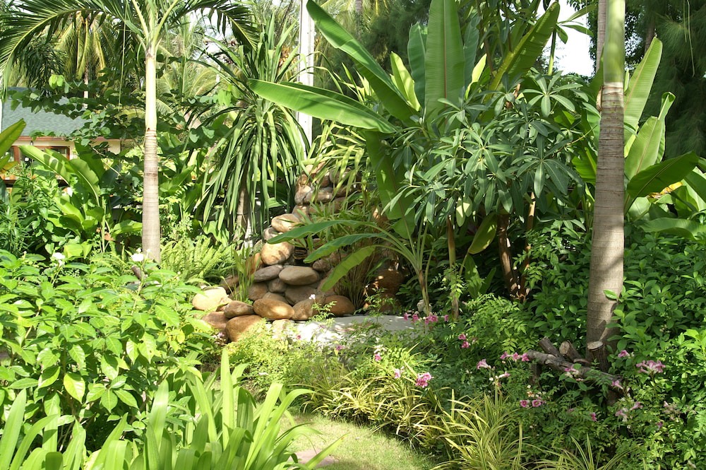 Photo of Outdoor in Hua Thanon