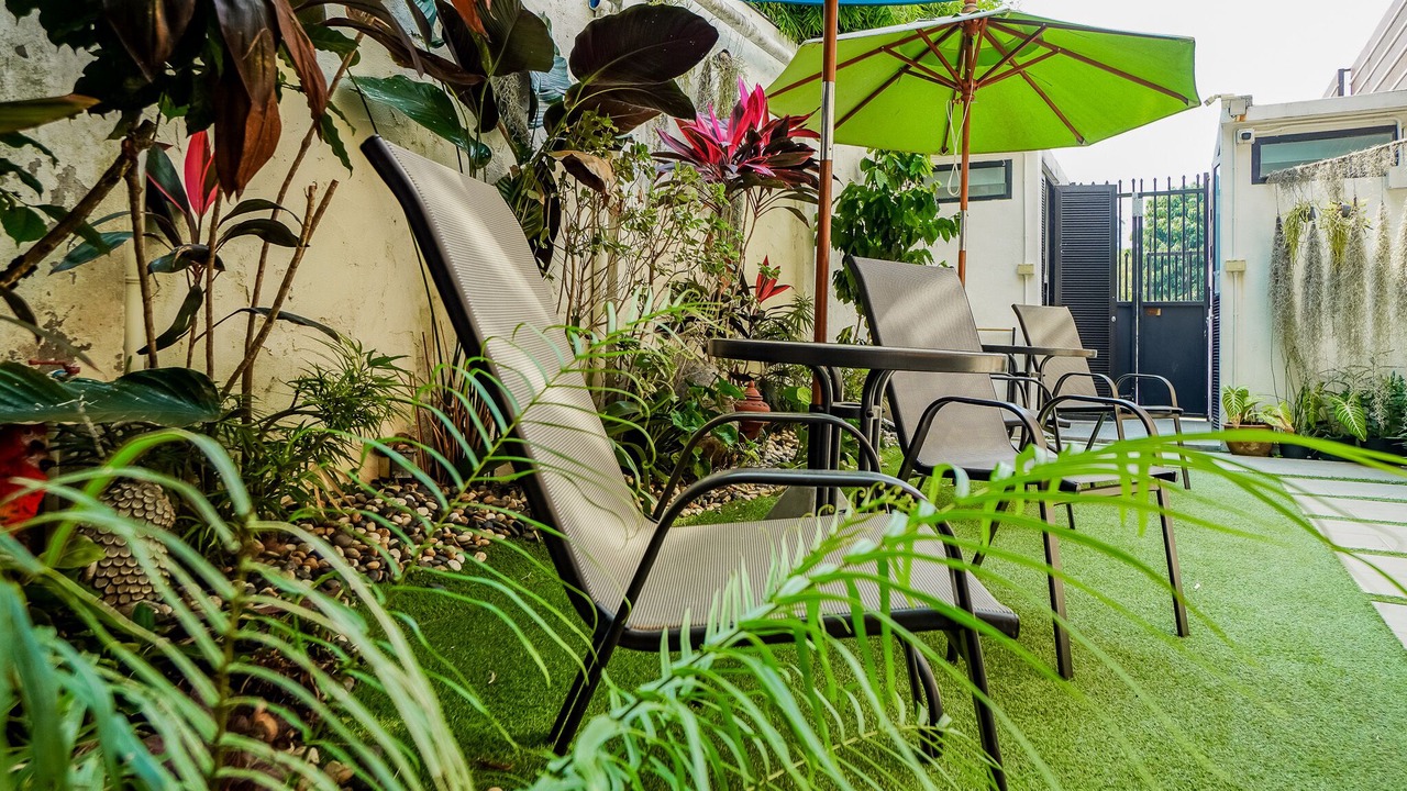 Photo of Outdoor in Chang Phueak