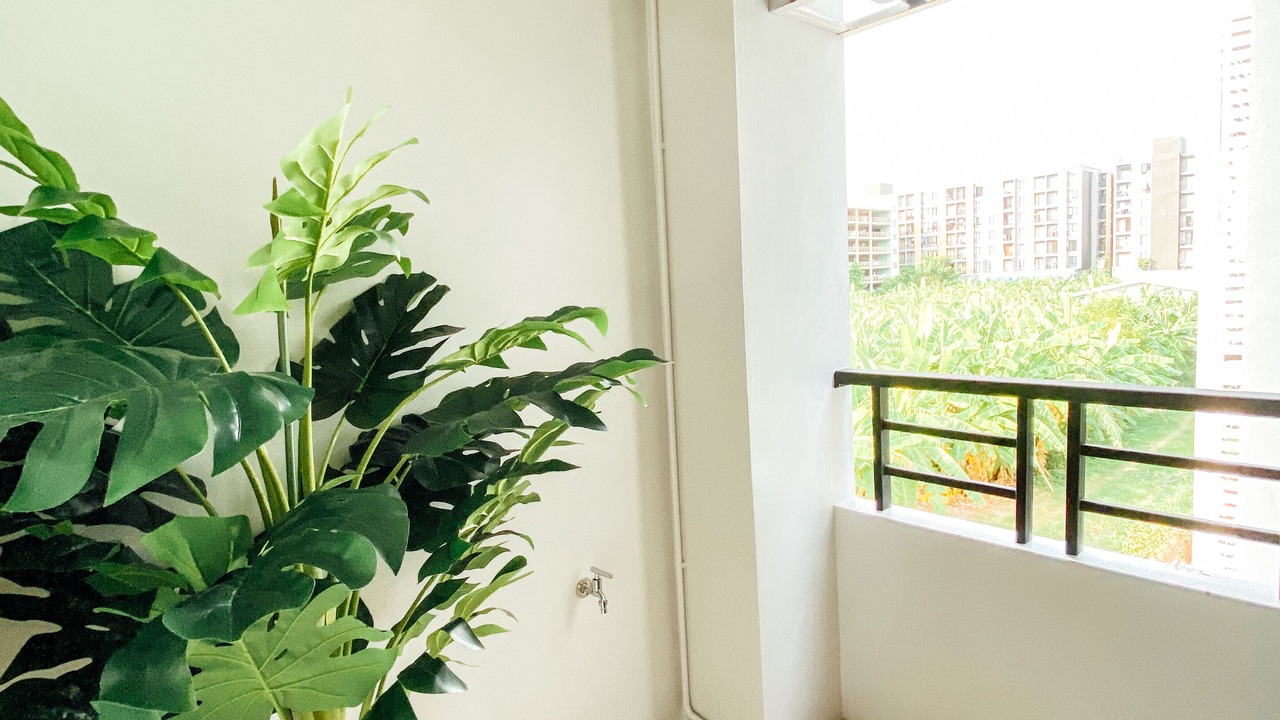 Photo of Patio Balcony in Suan Luang