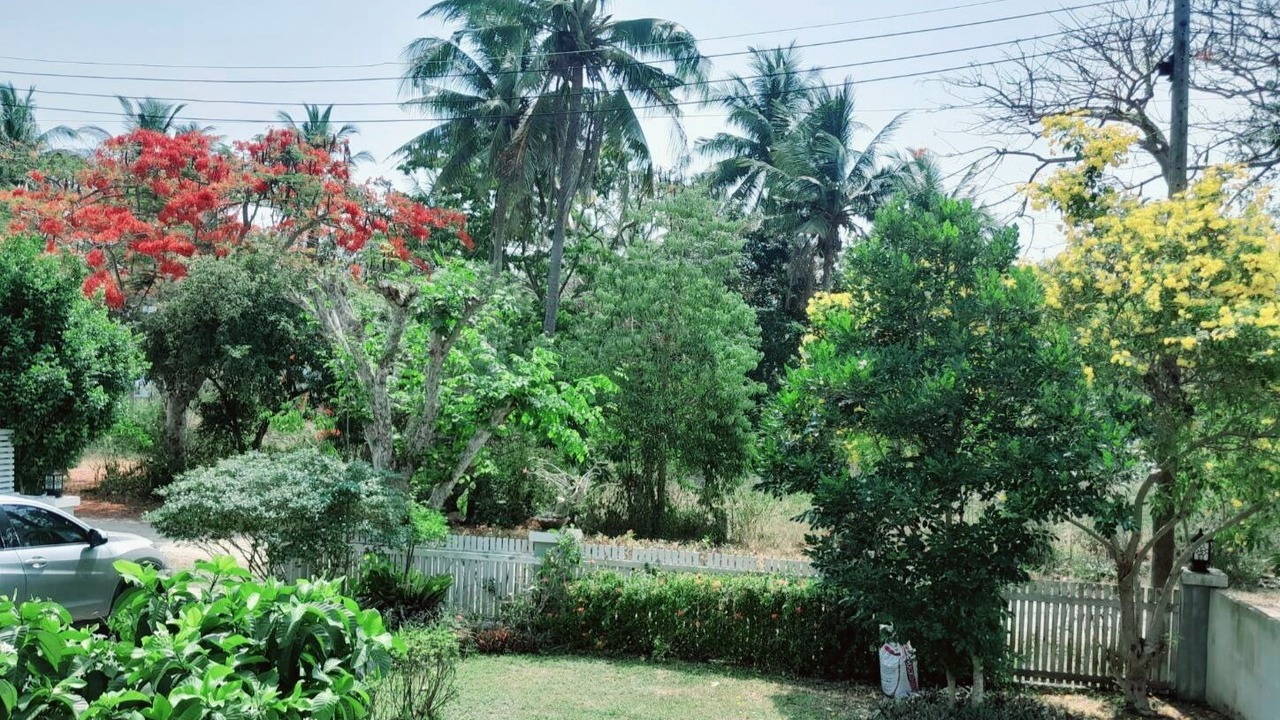 Photo of Others in Thong Chai