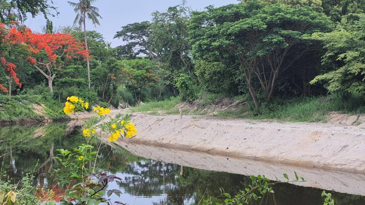 Photo of Others in Thong Chai