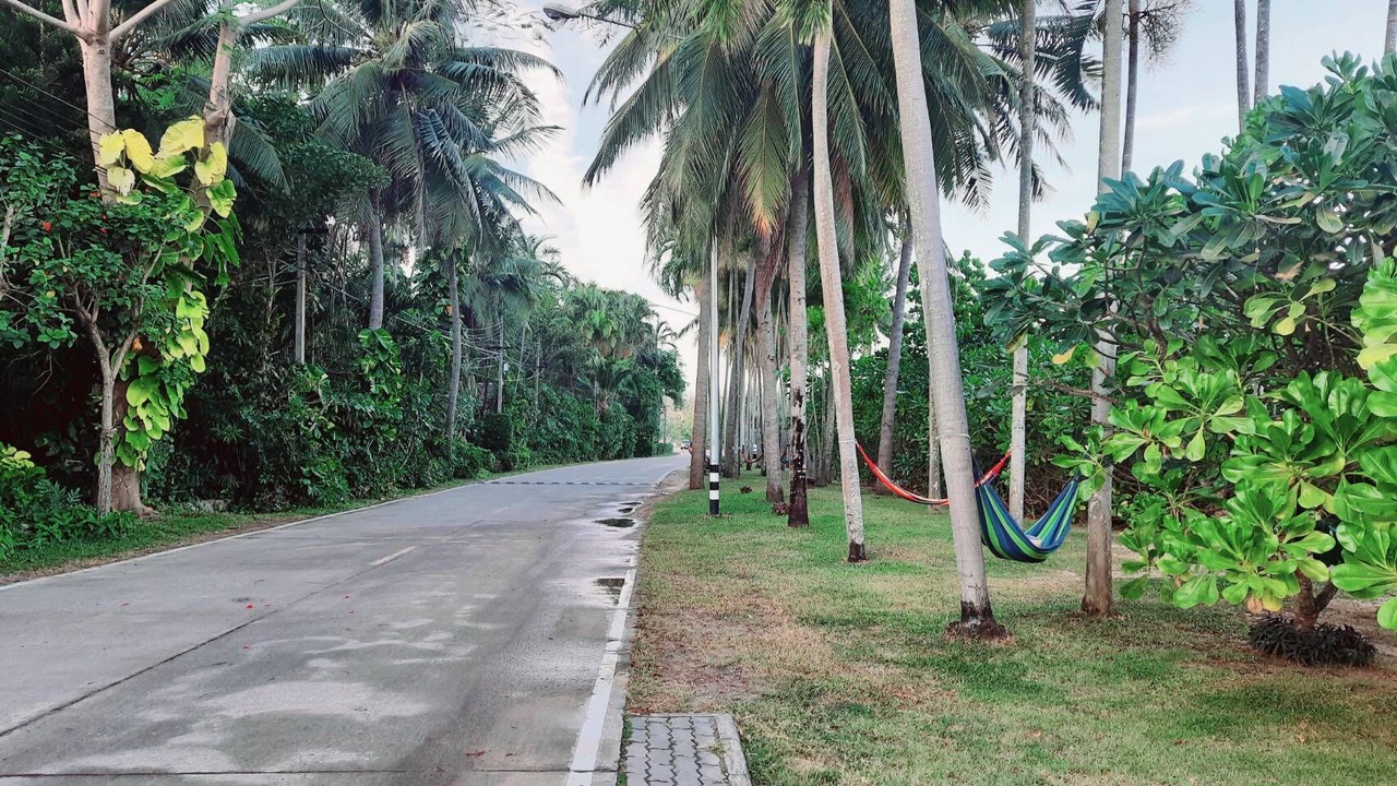 Photo of Others in Thong Chai