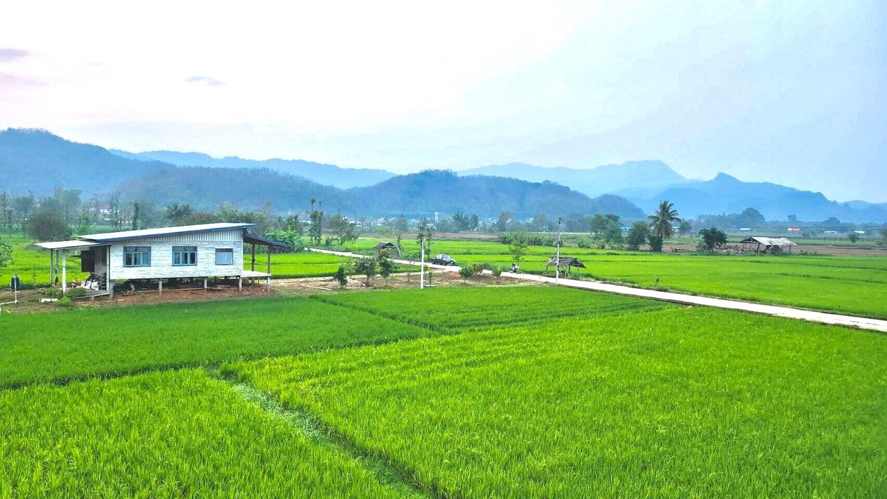 Photo of Outdoor in Mae Rai