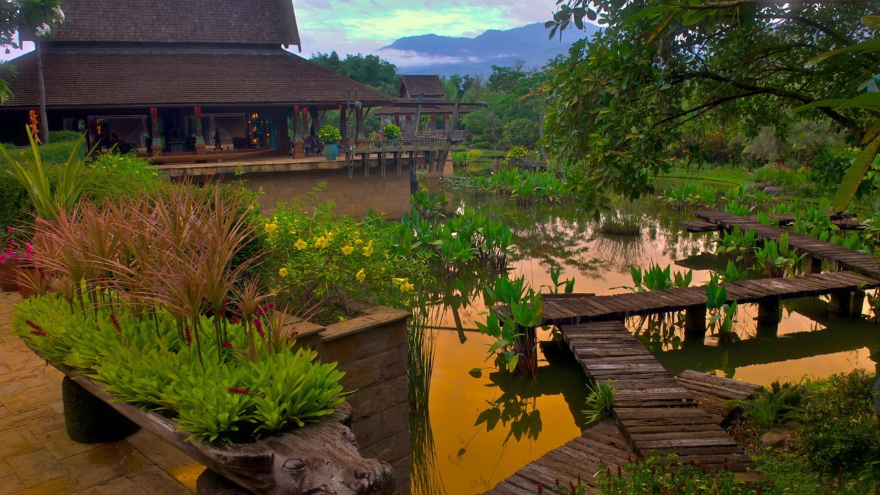 Photo of Outdoor in Lan Dokmai Tok