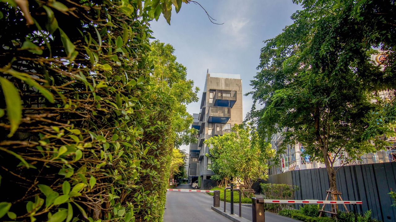 Photo of Outdoor in Patong