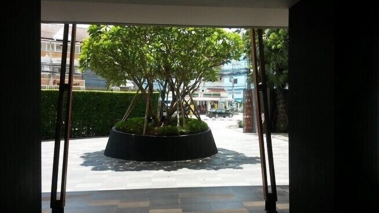 Photo of Outdoor in Khao Takiab