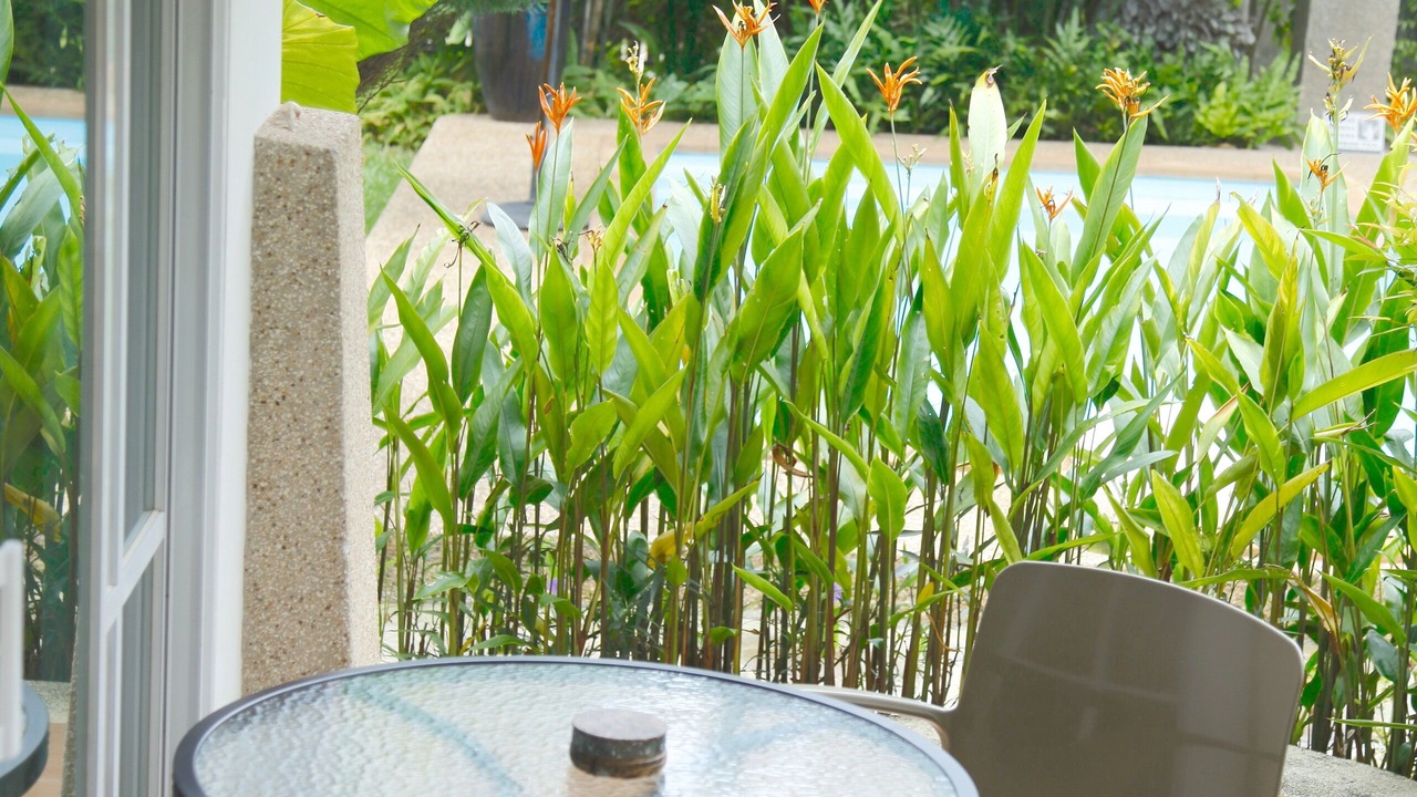 Photo of Outdoor in Ko Lanta