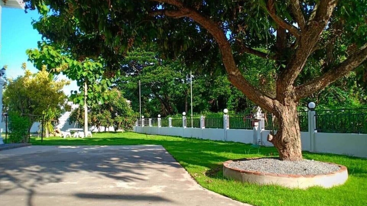 Photo of Outdoor in San Pa Thong