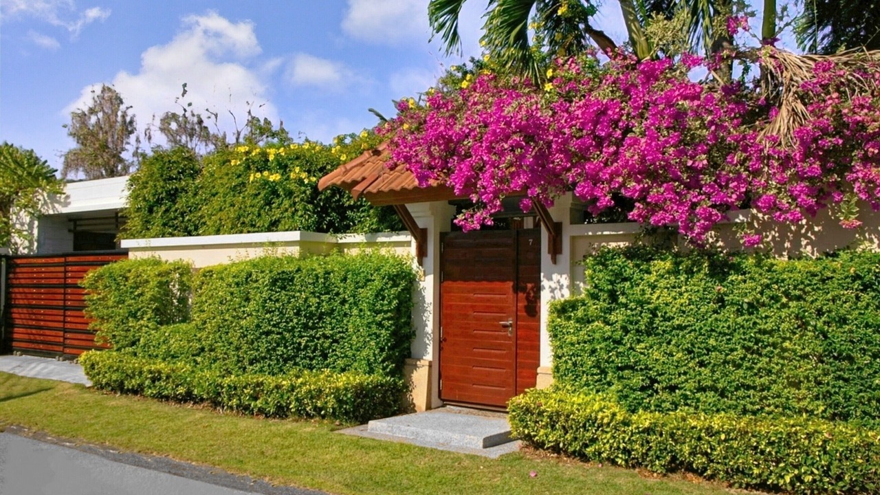 Photo of Outdoor in Nong Kae