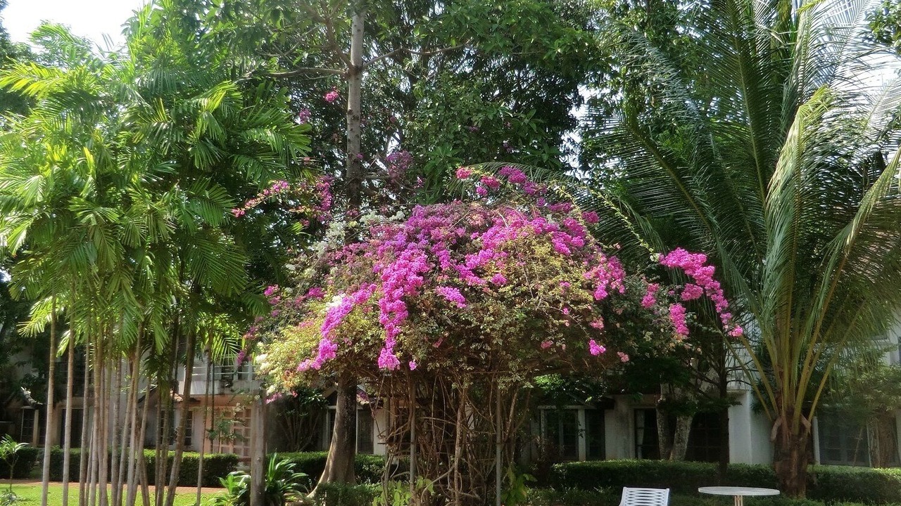 Photo of Outdoor in Kram