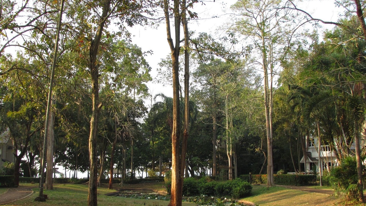 Photo of Outdoor in Kram