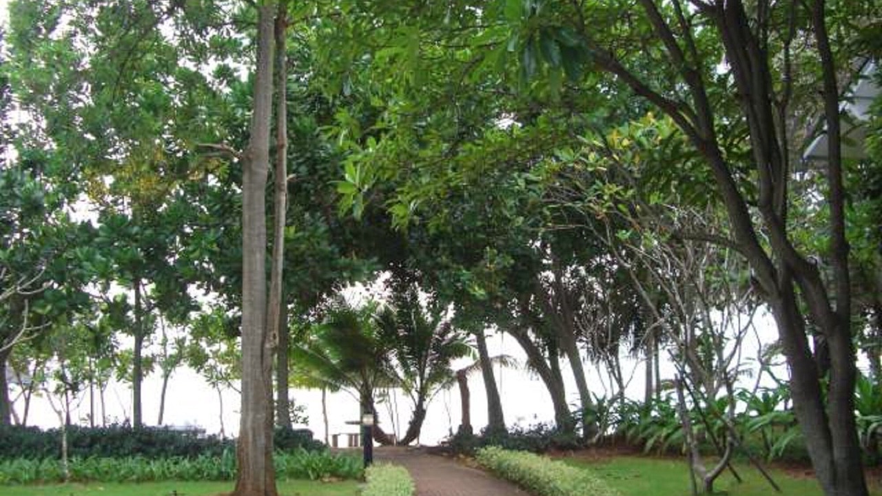 Photo of Outdoor in Kram
