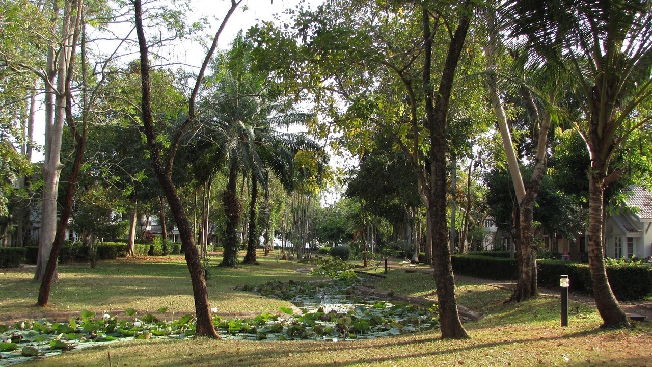 Photo of Outdoor in Kram