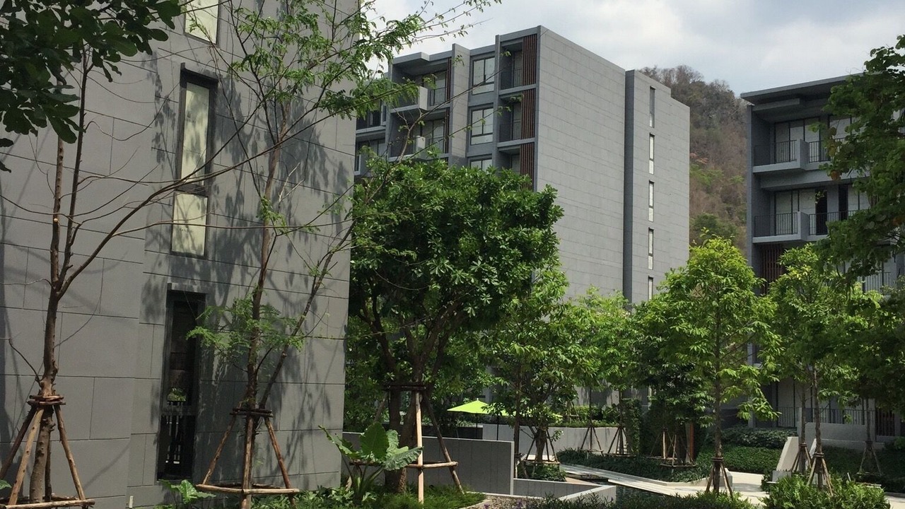 Photo of Others in Phaya Yen
