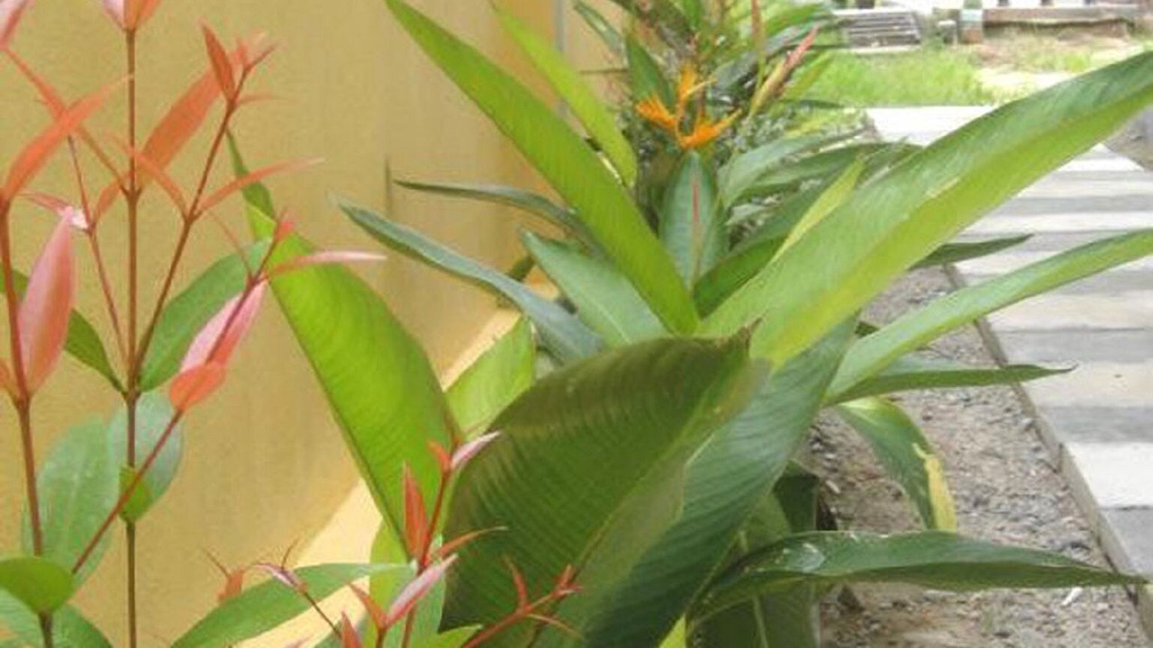 Photo of Outdoor in Bang Tao