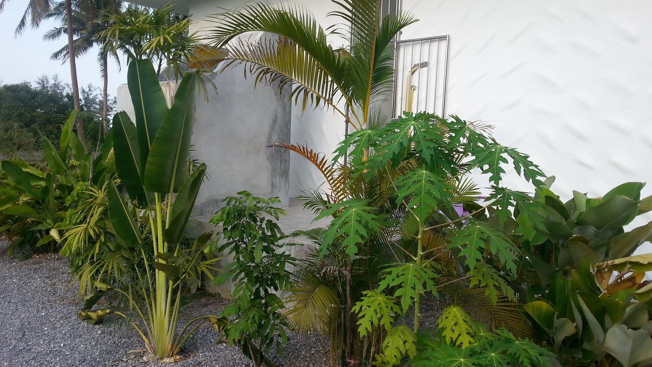 Photo of Outdoor in Bang Saphan