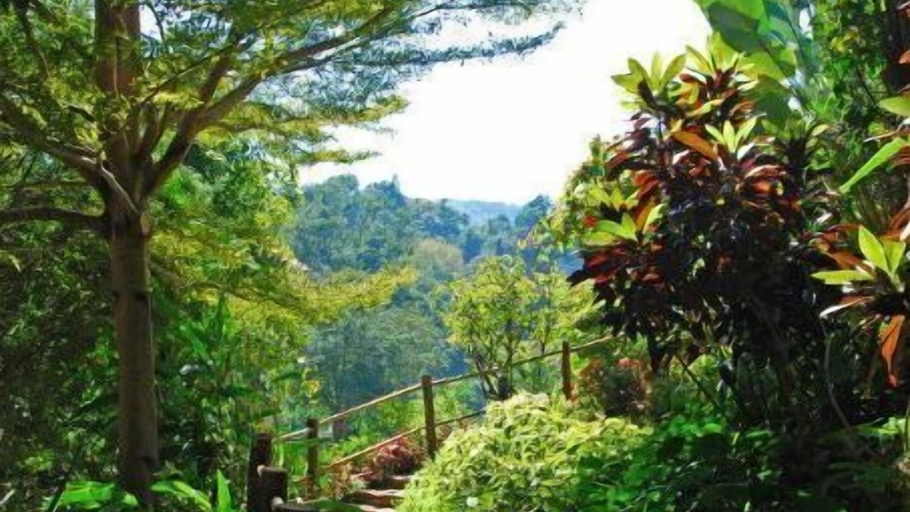 Photo of Outdoor in Hang Dong