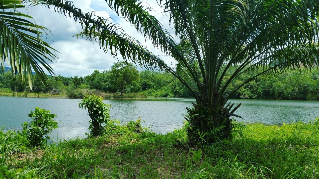 Photo of Outdoor in Ron Phibun