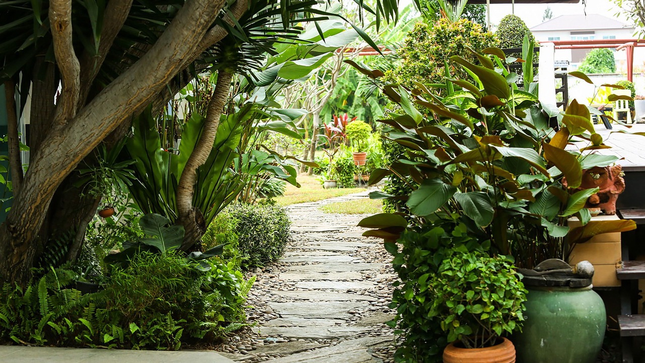 Photo of Outdoor in Suan Luang