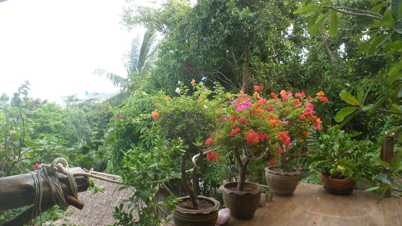 Photo of Outdoor in Haad Pleayleam