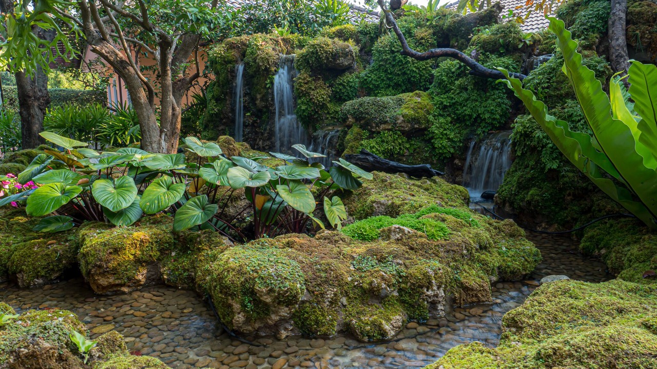 Photo of Outdoor in Hang Dong