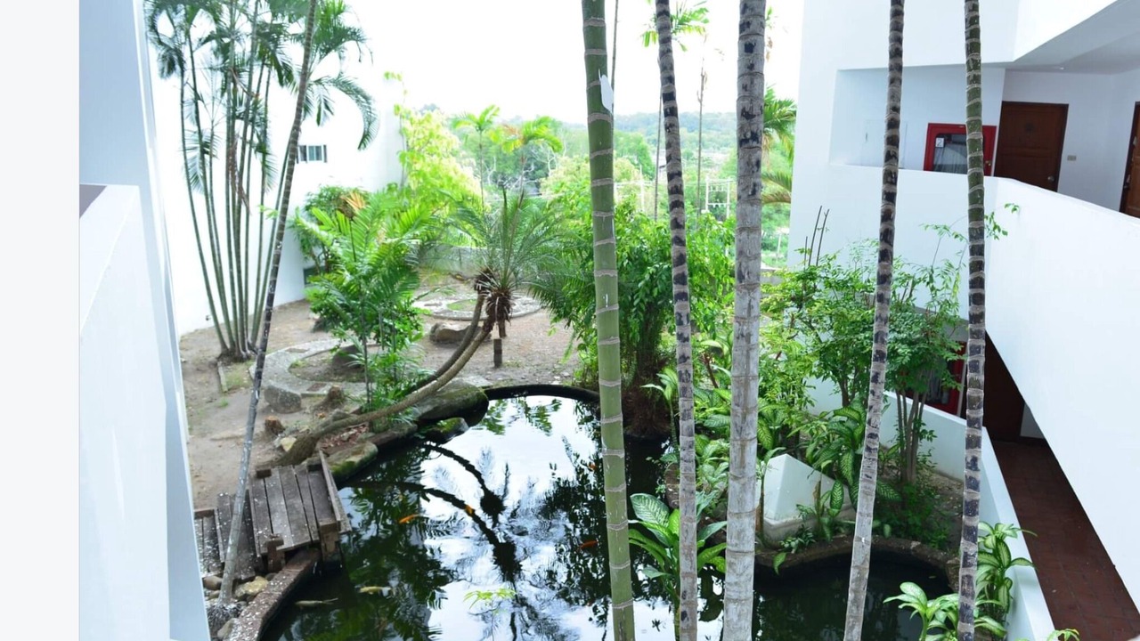 Photo of Outdoor in Noen Phra