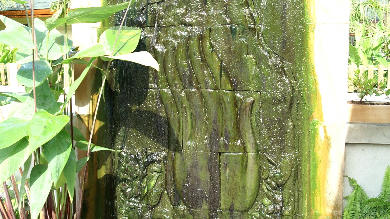 Photo of Outdoor in Hua Thanon