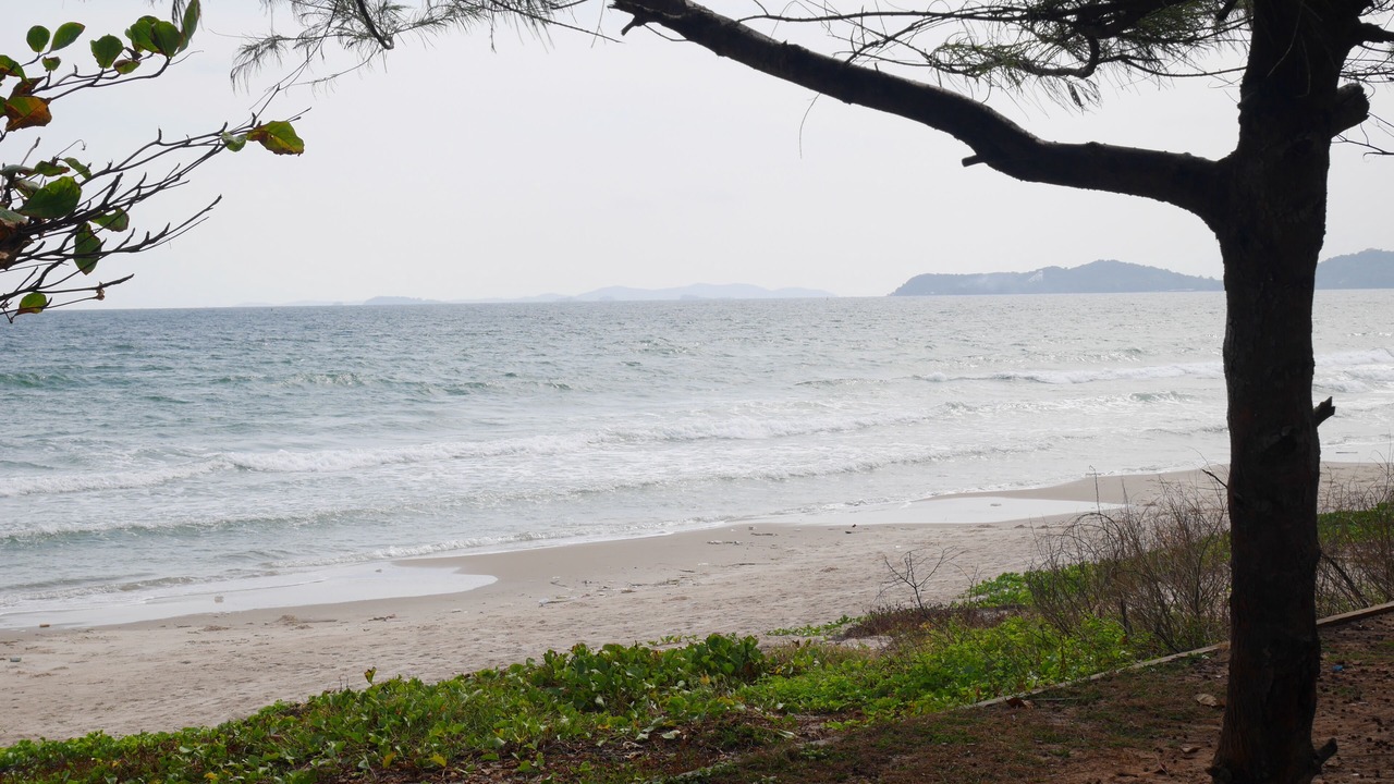 Photo of Others in Chakphong