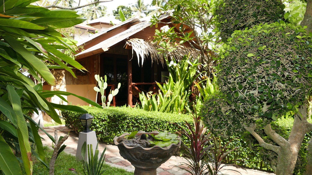 Photo of Outdoor in Lamai