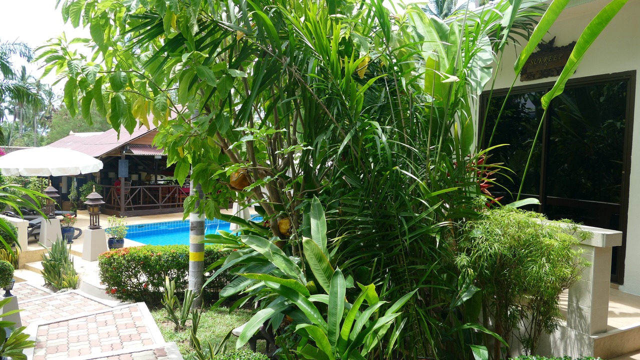 Photo of Outdoor in Bophut