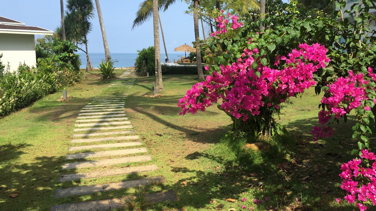 Photo of Others in Ko Lanta