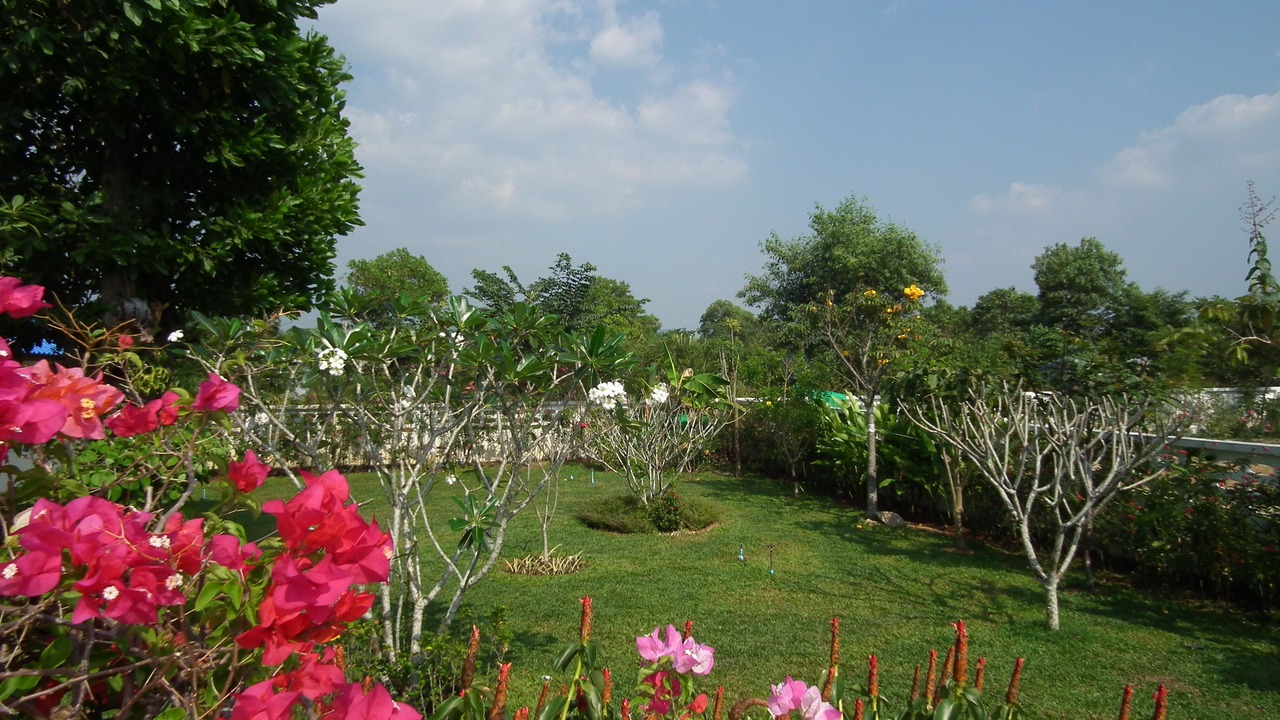 Photo of Outdoor in Thai Mueang
