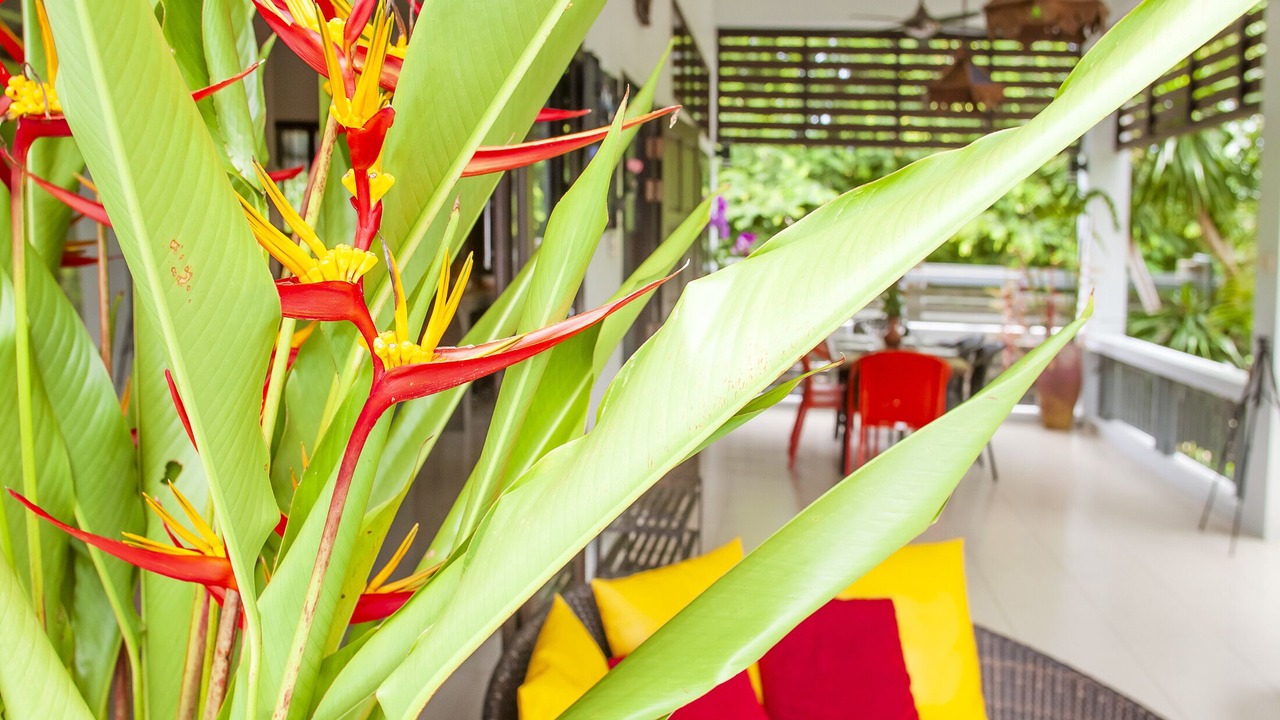 Photo of Outdoor in Nong Thale