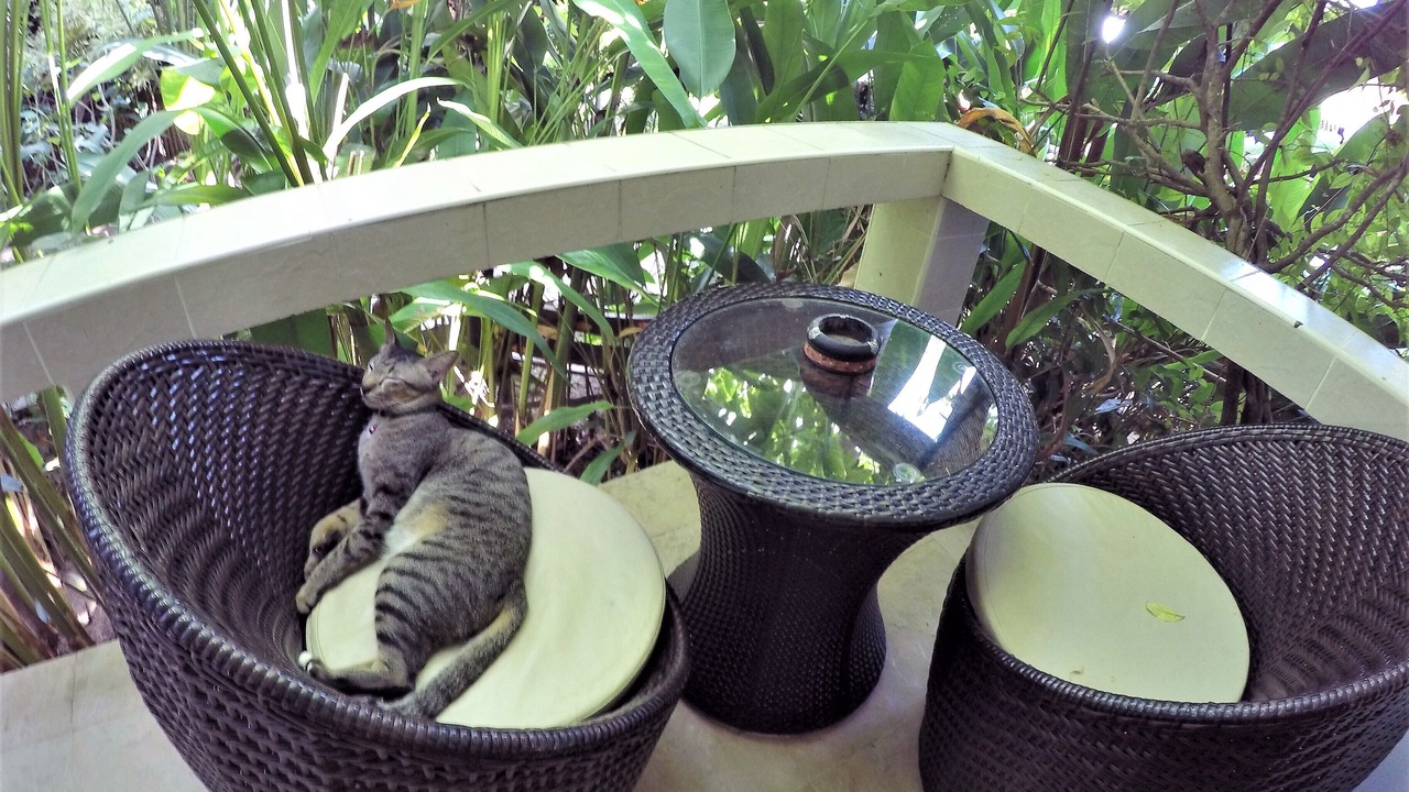 Photo of Outdoor in Lamai