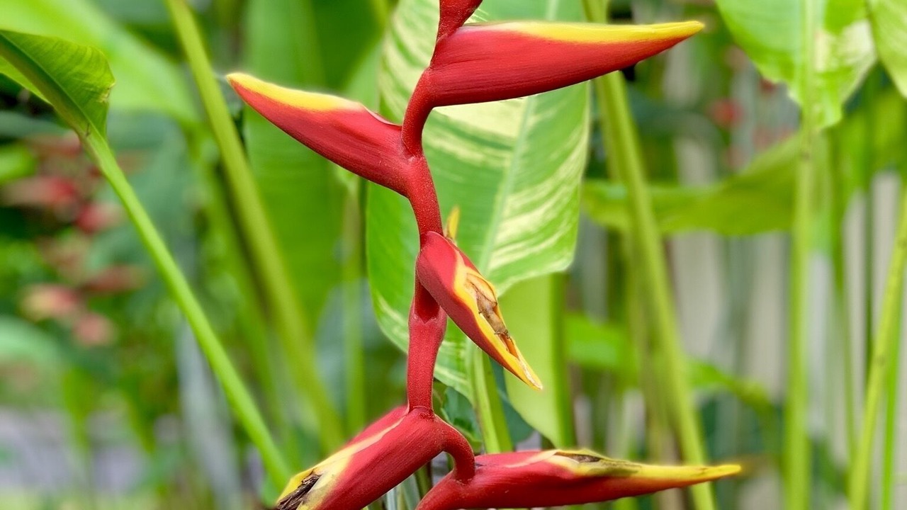 Photo of Outdoor in Nong Thale