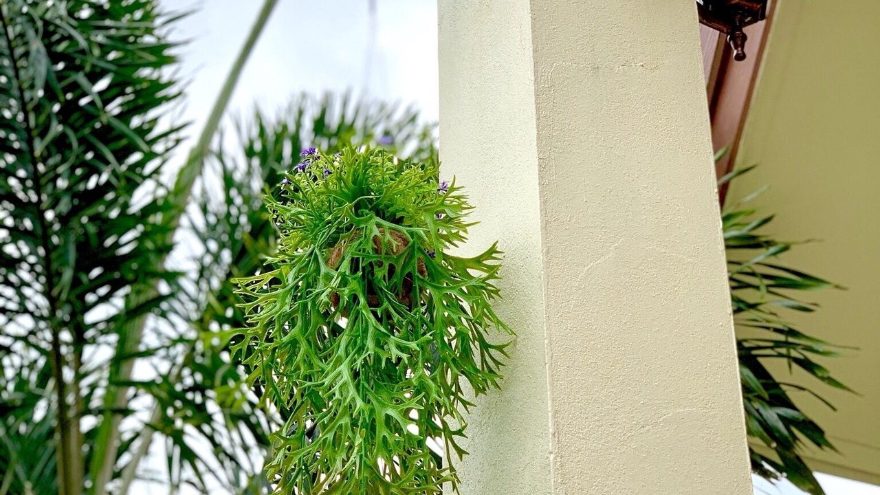 Photo of Outdoor in Nong Thale