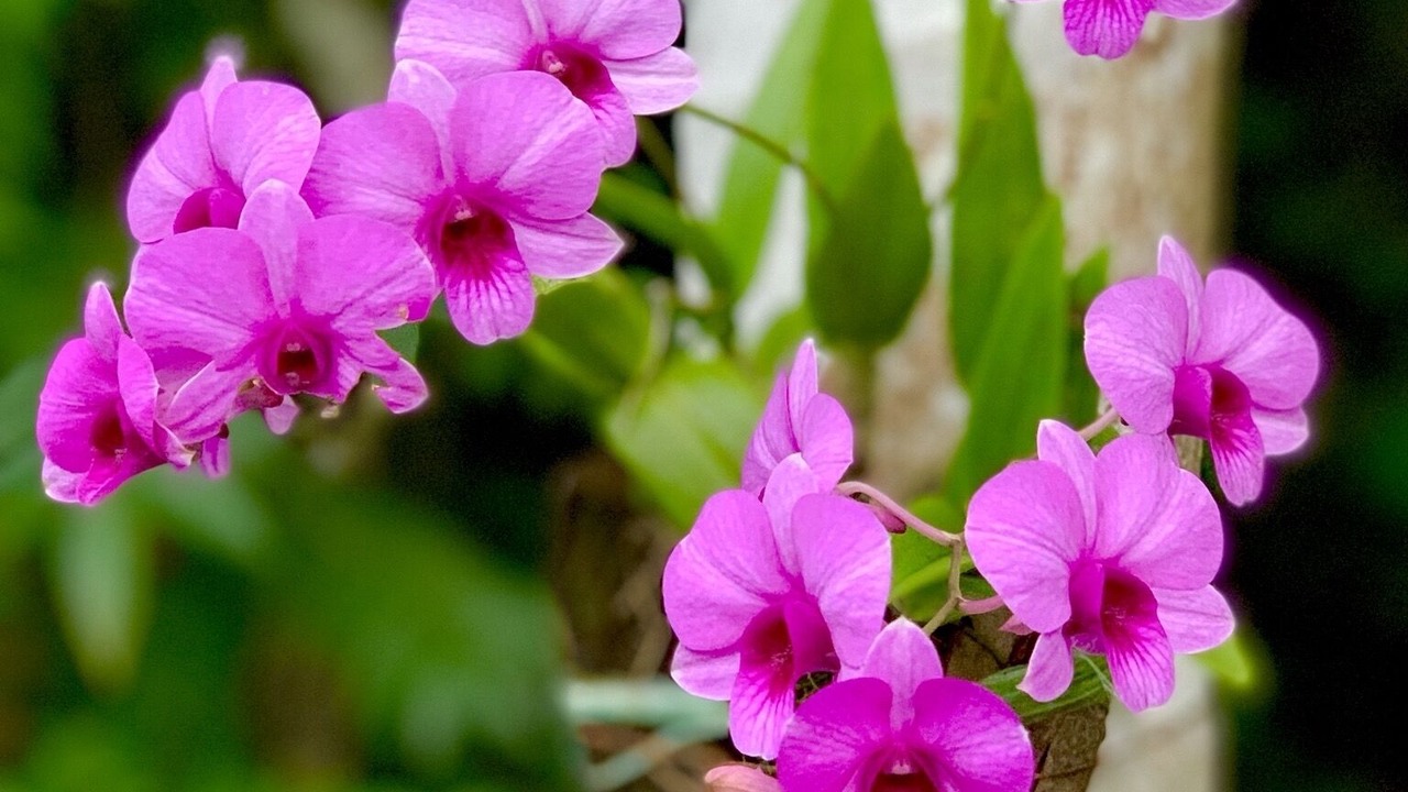 Photo of Outdoor in Nong Thale