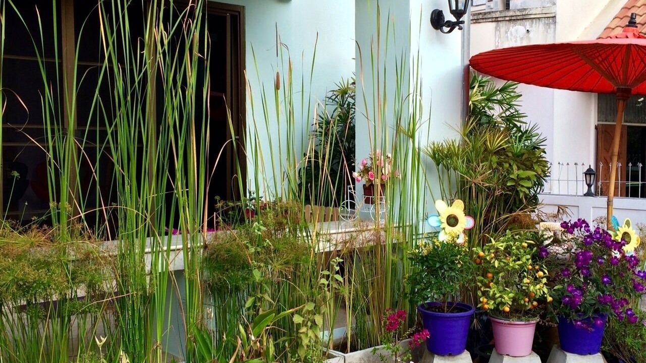 Photo of Patio Balcony in Pa Daet