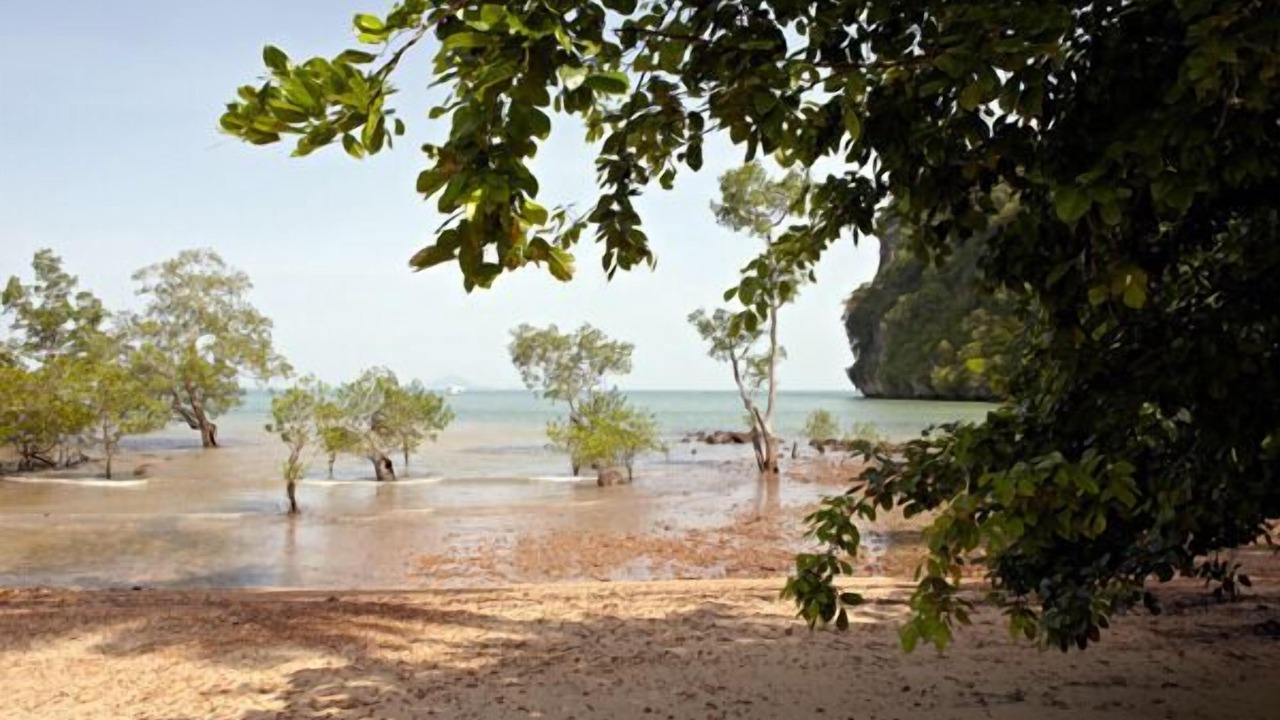 Photo of Outdoor in Ao Nang