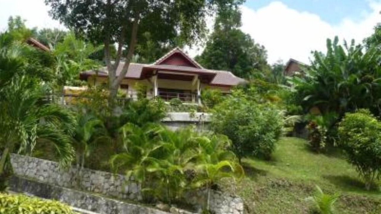 Photo of Outdoor in Patong