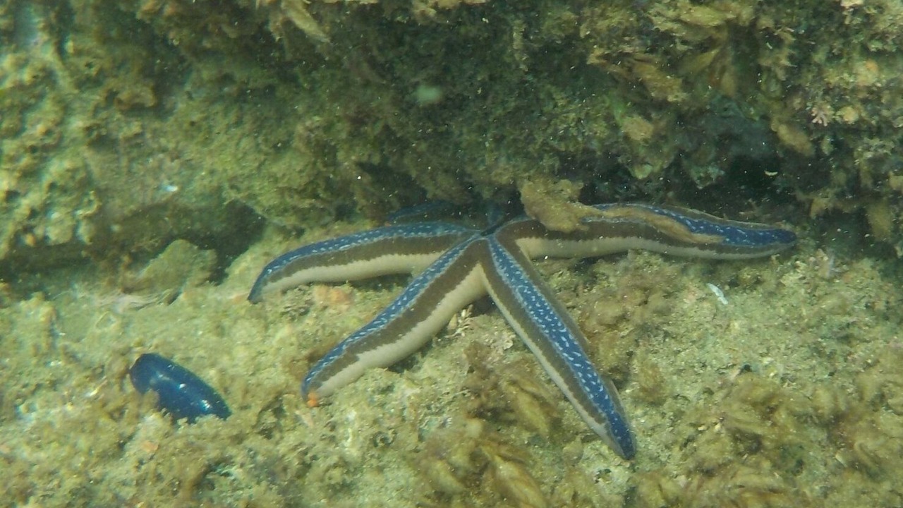 Photo of Others in Playa El Coco