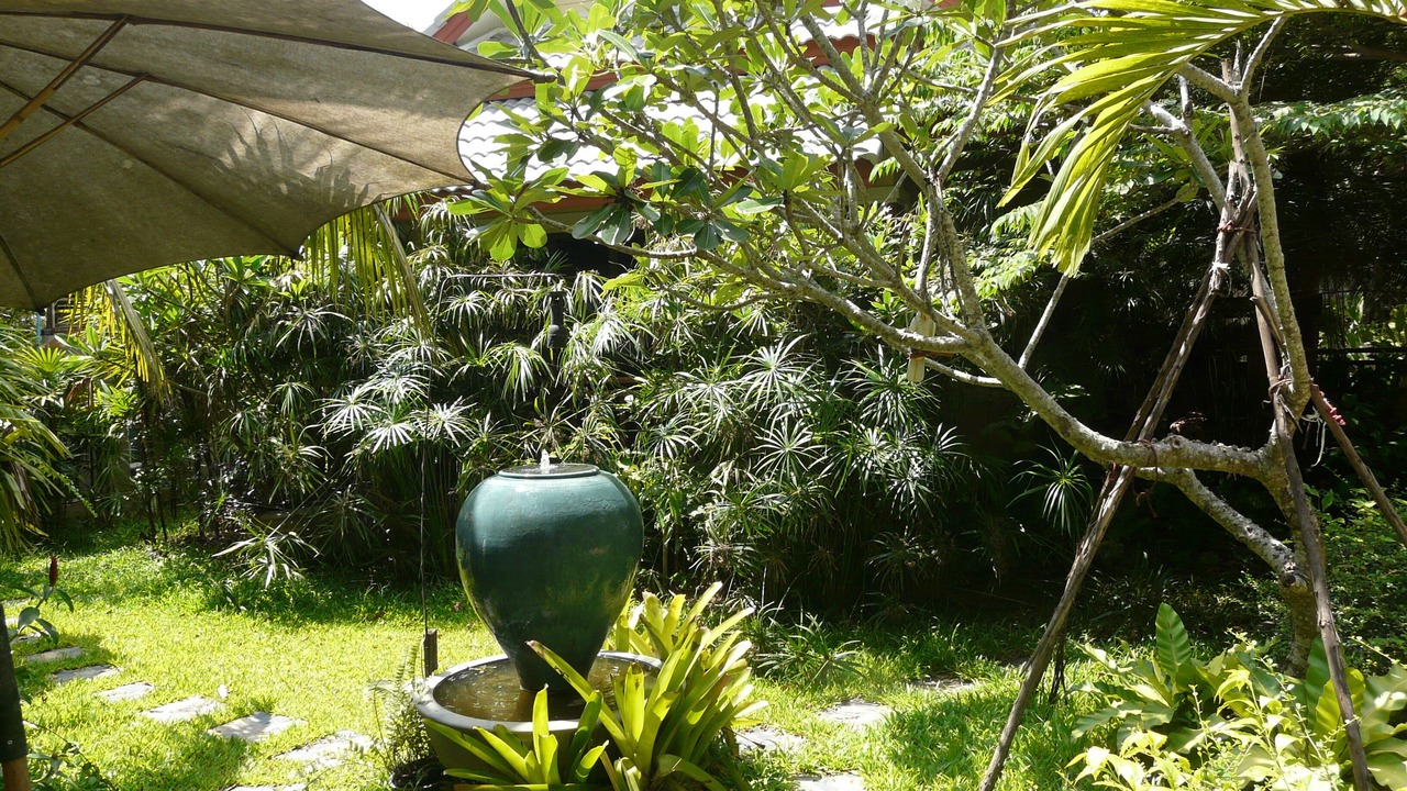 Photo of Outdoor in Chaiyasathan