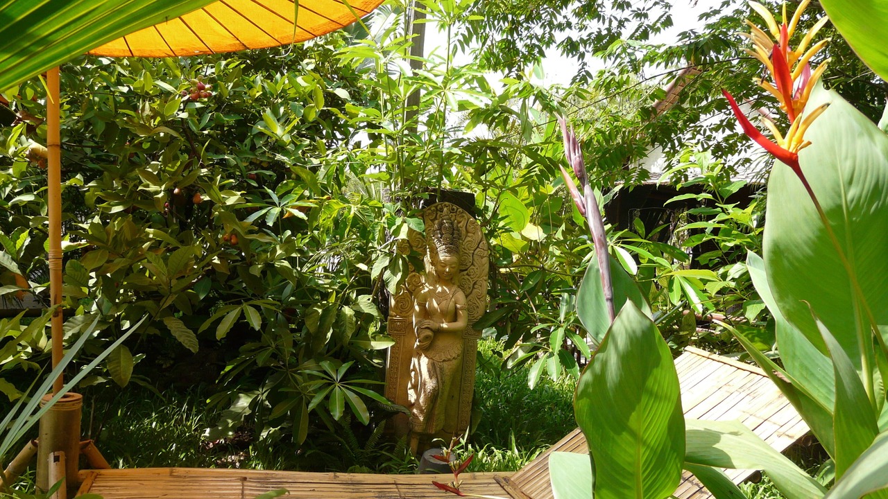 Photo of Outdoor in San Pu Loei